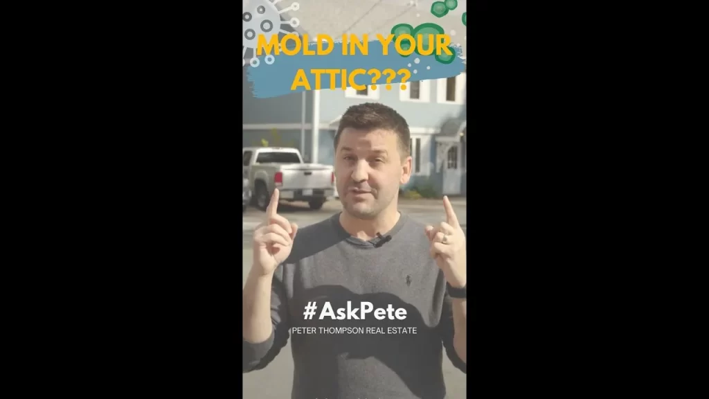 Mold in your Attic
