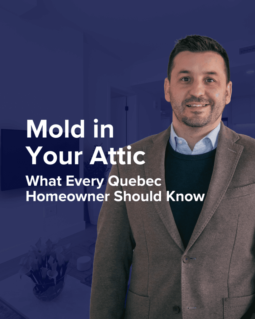 Mold in Your Attic: What Every Quebec Homeowner Should Know